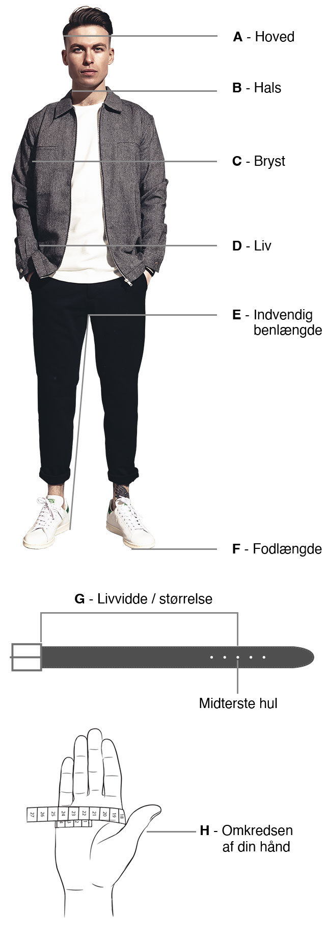 Størrelsesguide